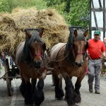 Ein Pferdekarren mit Ernte und einem Bauern